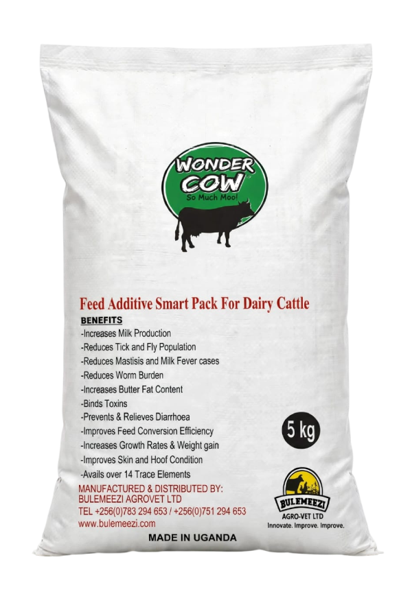 Wonder cow
