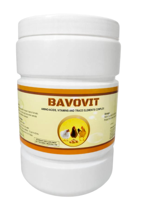 Bavovit