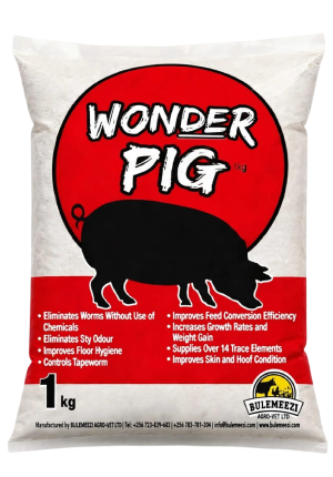 Wonder Pig 